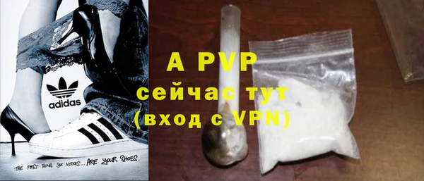 СК Новозыбков