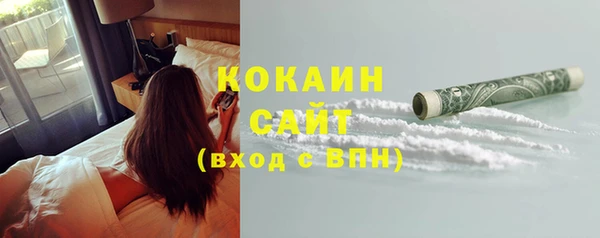 СК Новозыбков