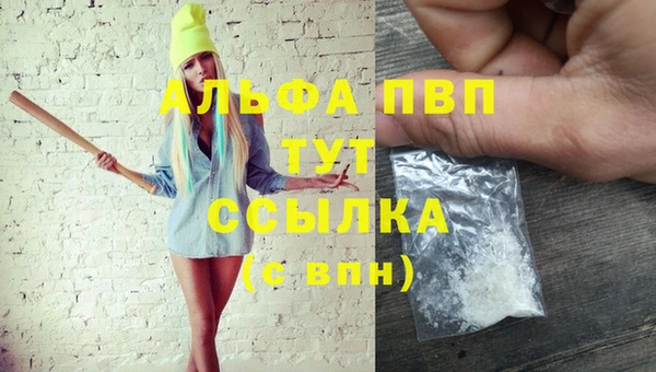 СК Новозыбков
