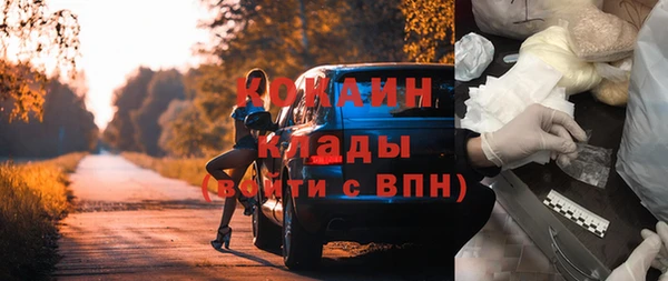 СК Новозыбков