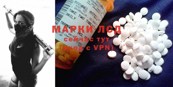 СК Новозыбков