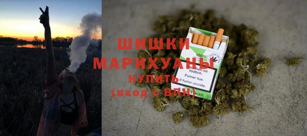 СК Новозыбков