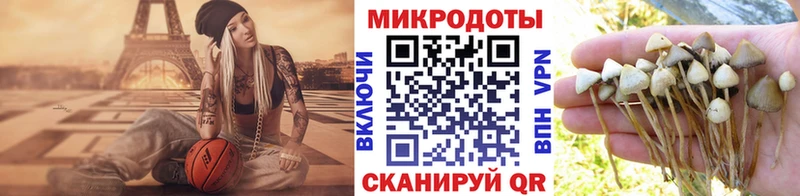 Псилоцибиновые грибы GOLDEN TEACHER  Струнино 
